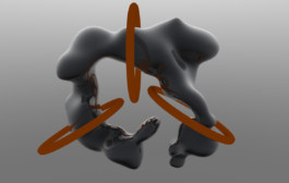 GONDOR DESIGN CULTURE ⚑ 