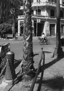 GONDOR DESIGN CULTURE ⚑ 