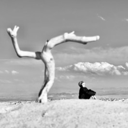 GONDOR DESIGN CULTURE ⚑ 